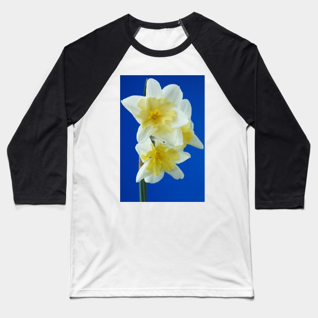 Narcissus  &#39;Prom Dance&#39;  Daffodil Baseball T-Shirt by chrisburrows